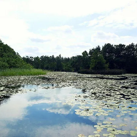 ロッジ Z Bali Goral コパリノ