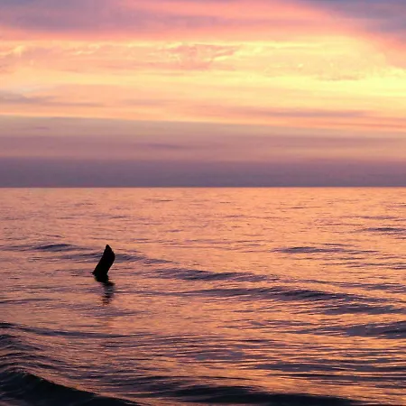 Z Bali Goral ロッジ