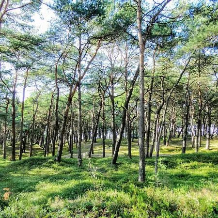 ロッジ Z Bali Goral