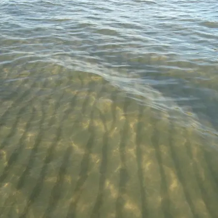 ロッジ Z Bali Goral