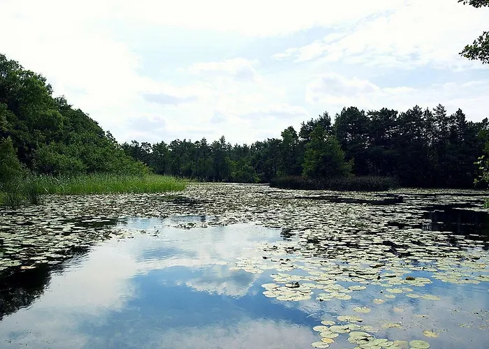 Chata Z Bali Goral Kopalino